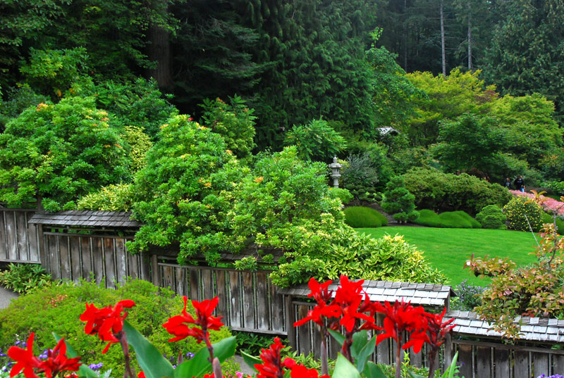 The Butchart Gardens 7-日本庭园1 摄影 皋岚