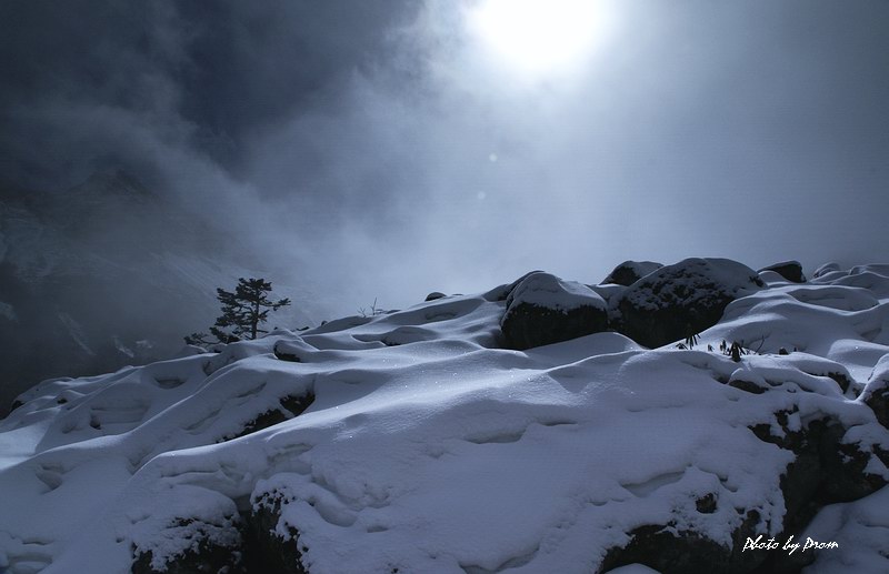 雪山野域 摄影 PROM