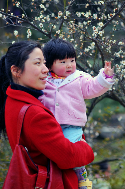 <"这花好漂亮"> 摄影 Robbin