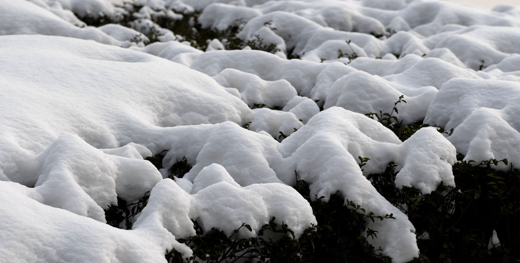 雪峰 摄影 梦杳