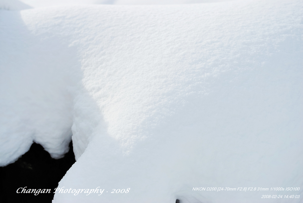 白雪！ 摄影 changan0000