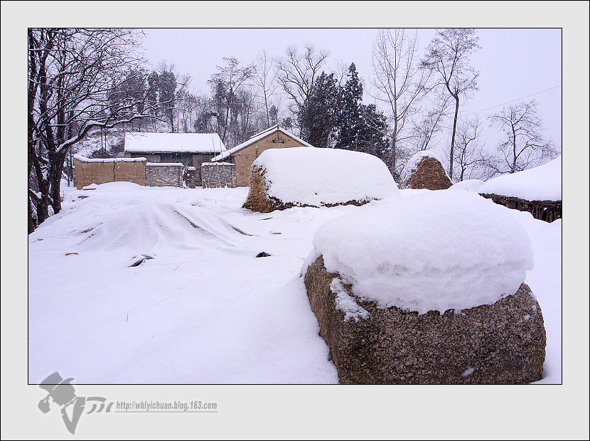 今年好大雪 摄影 一川bqd