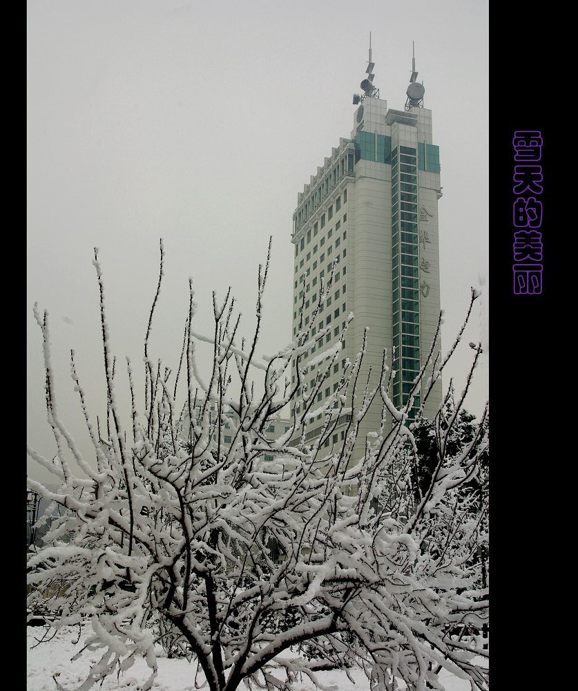 雪天的美丽----电力大楼 摄影 宁静