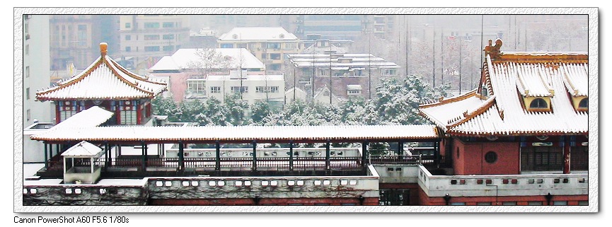 复旦大学上海医学院雪景 摄影 Surfer