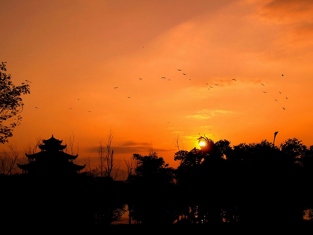 夕阳归巢 摄影 闽南戏子