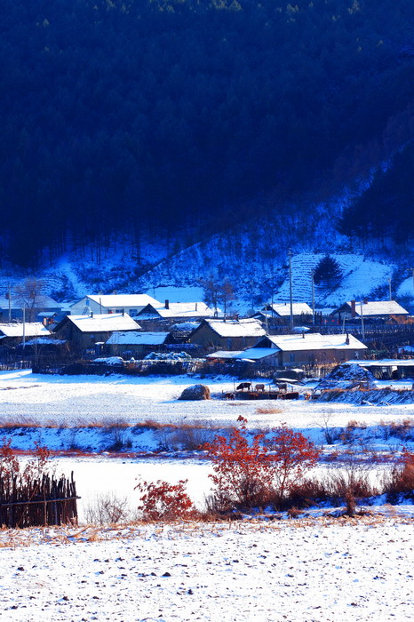 寂静的山庄 摄影 龙江雪