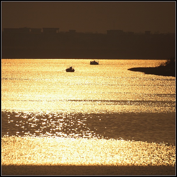 金色大道 摄影 lake