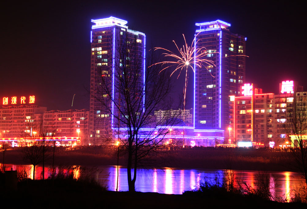 兰州滨河夜景--树 摄影 黄河风情