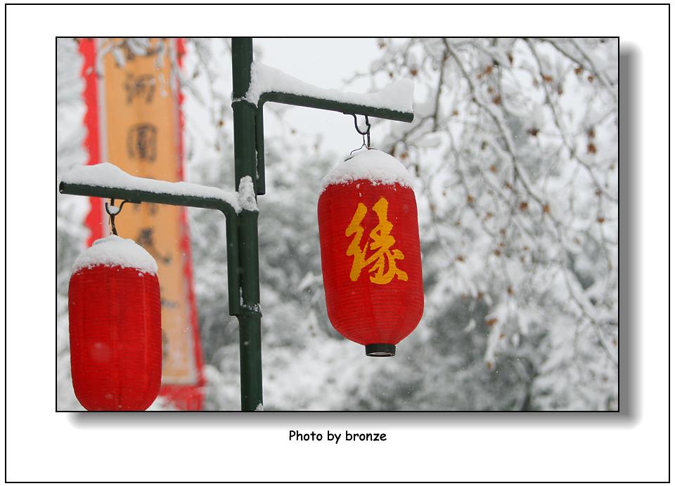 08杭州大雪 摄影 bronzeyun