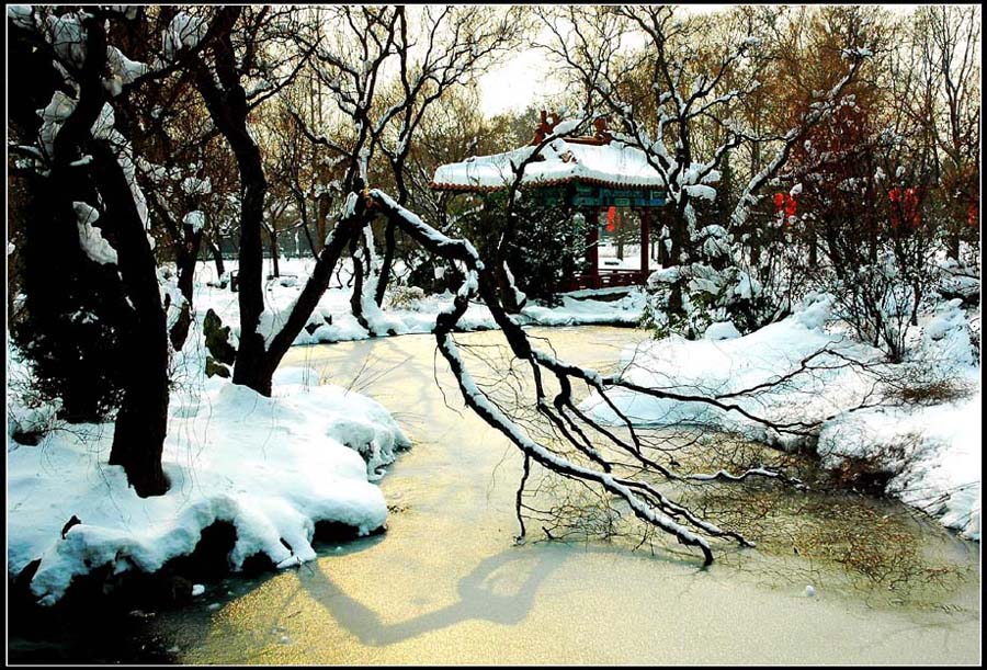 雪装 摄影 lingsu