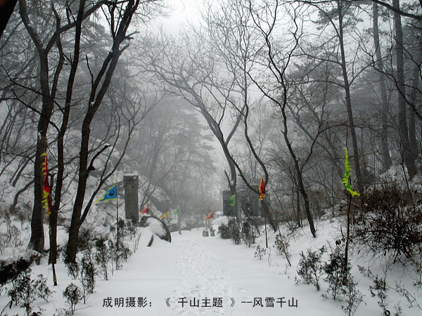 风雪千山雪韵图 摄影 askcm