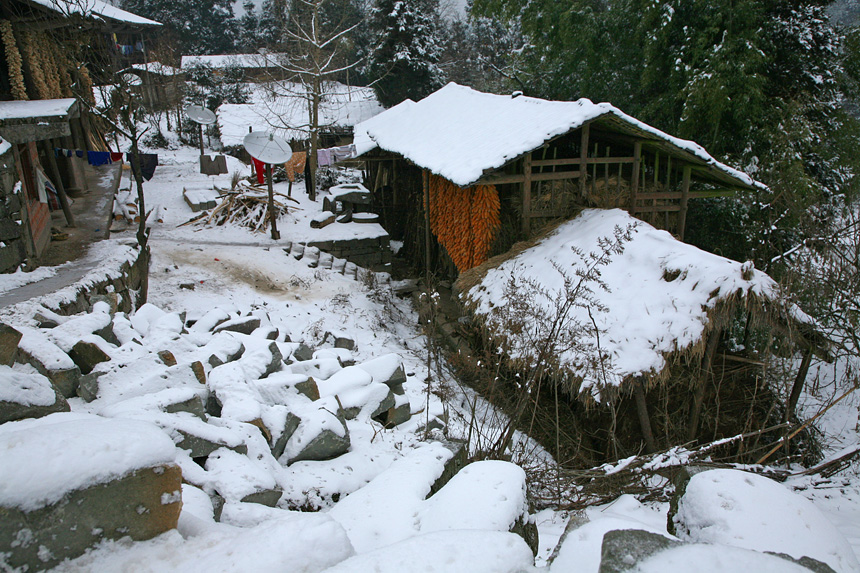 冬雪 摄影 尹成