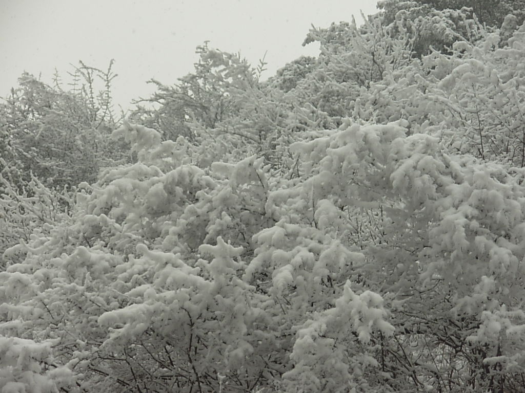 山中无所有.又到雪来时 摄影 laoxiancheng