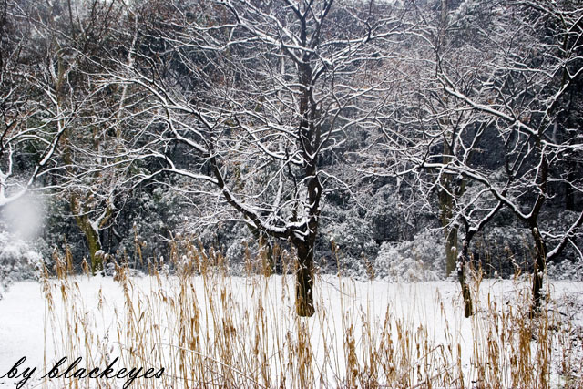 雪·山间素描 摄影 天工开物