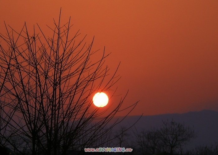 夕阳 摄影 飞哥