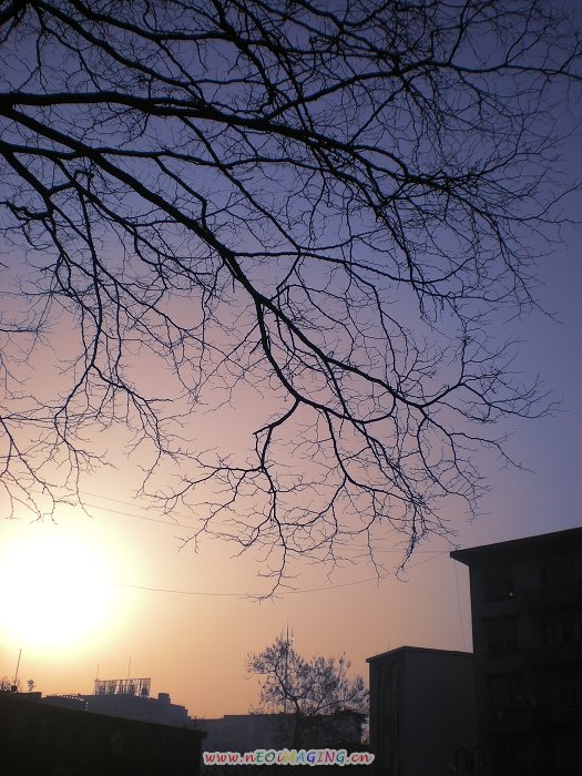 夕阳 摄影 飞哥