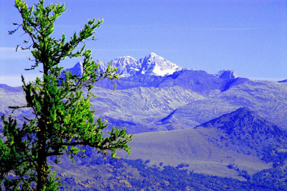 阿尔泰山 摄影 淘宝