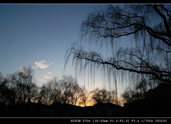 街边小景 摄影 小溪潺潺