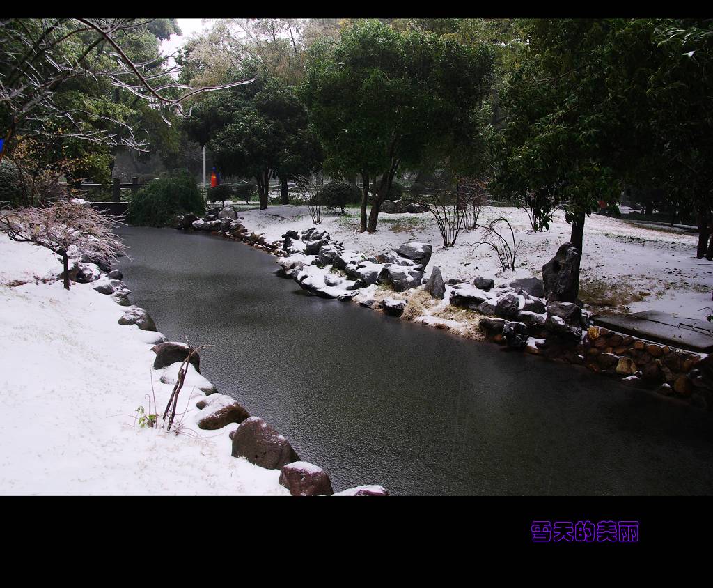 雪天的美丽 摄影 宁静