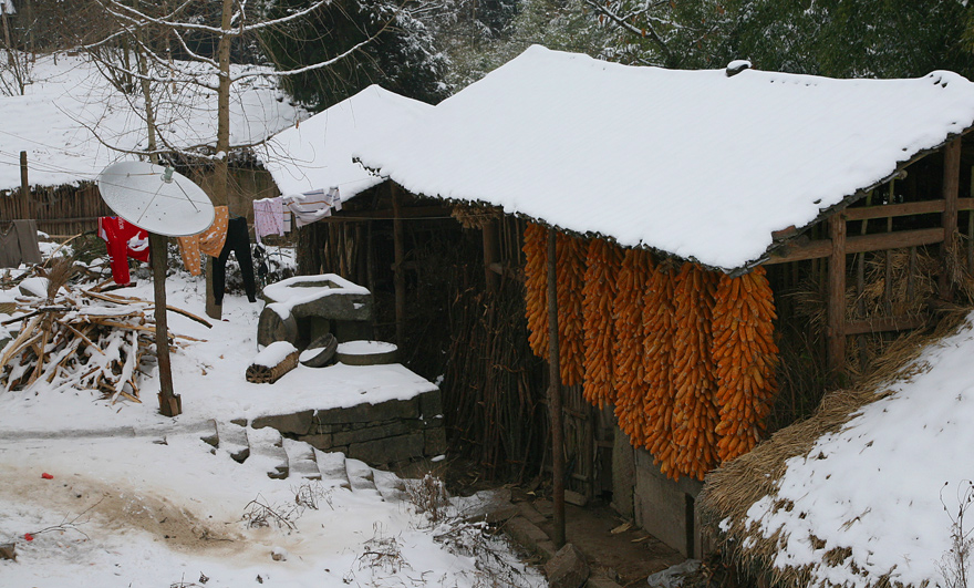 雪天的农家小院 摄影 尹成