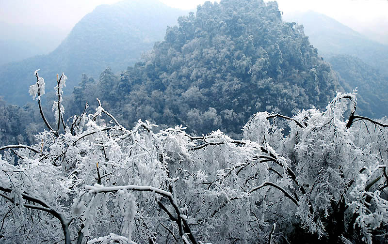 黔灵山冰凝之四-与天奋斗 摄影 rhgr