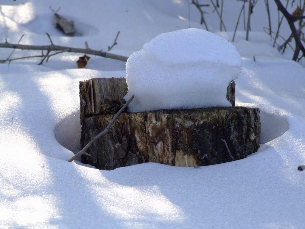 家里的雪 摄影 数码赫