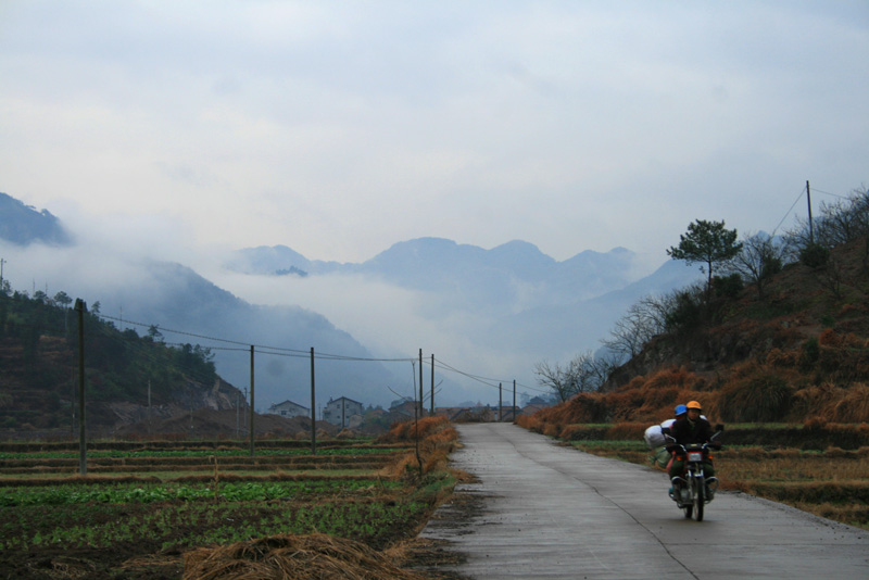 乡下 摄影 chau