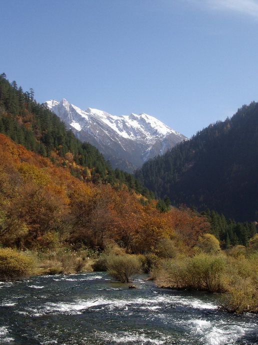 秋意盎然 摄影 依山傍水