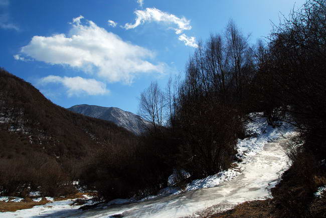 雪原 摄影 秦儿