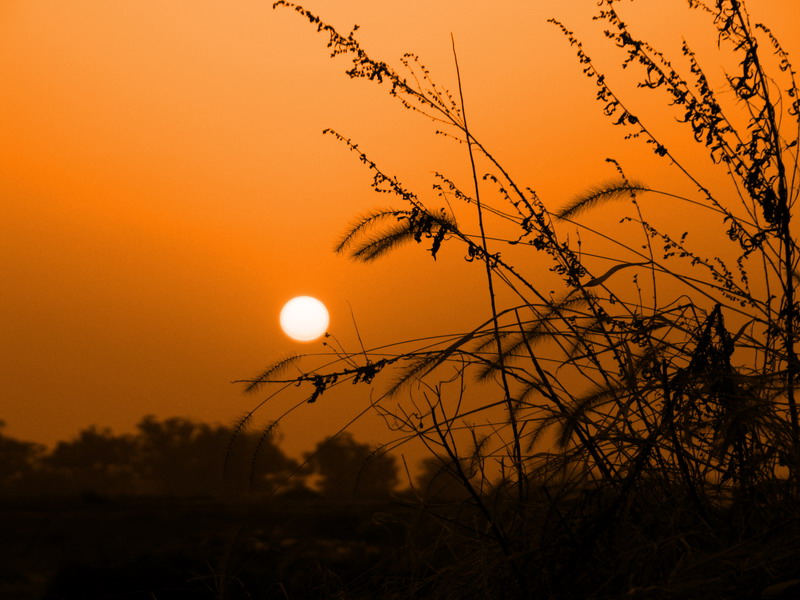 夕阳 摄影 行形摄色