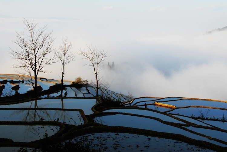 元阳梯田(四) 摄影 紫冰