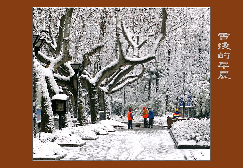 雪后的早晨 摄影 文竹细雨