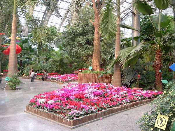 天津热带植物园 摄影 池塘月色