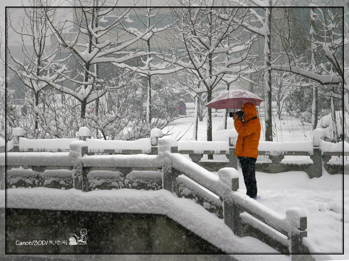 抓拍雪景 摄影 天地间