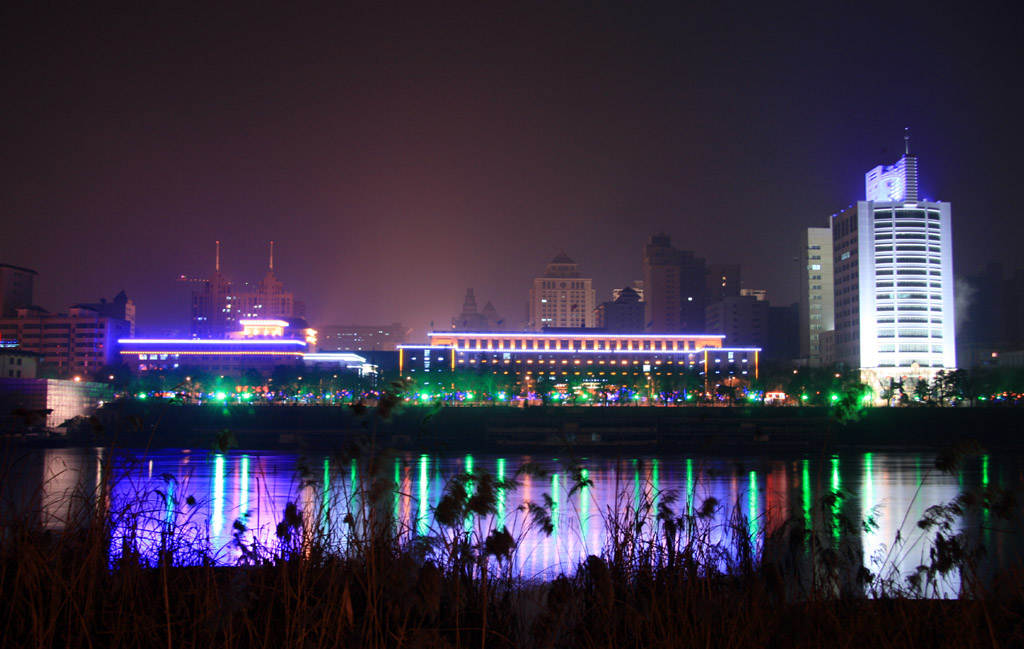 兰州滨河夜景--芦苇 摄影 黄河风情