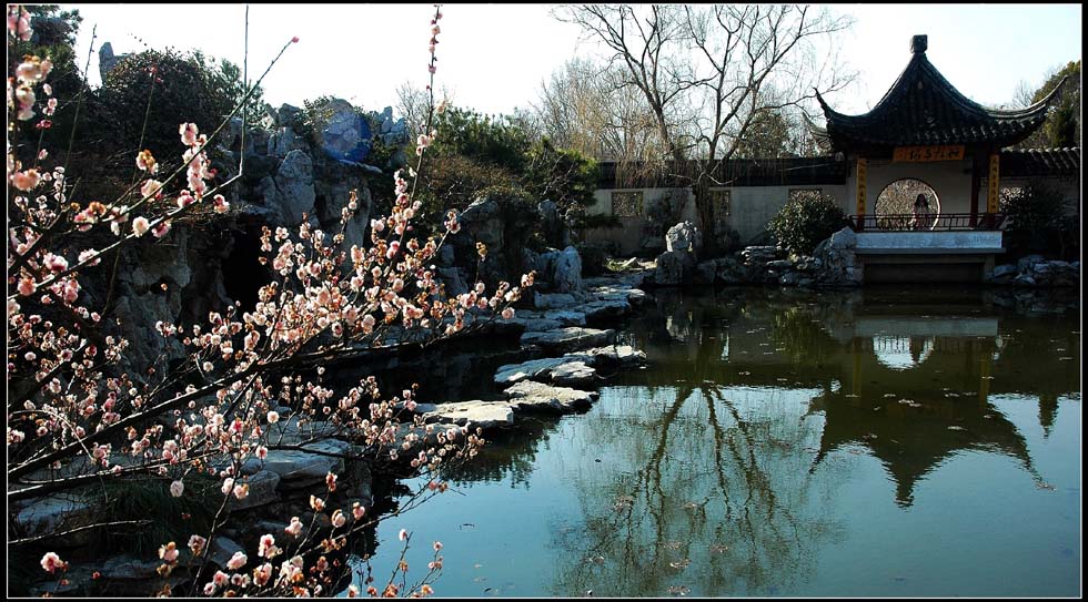 梅山花海九九天 摄影 lingsu