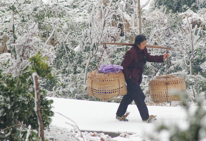 风雪无阻 摄影 凹凸不平