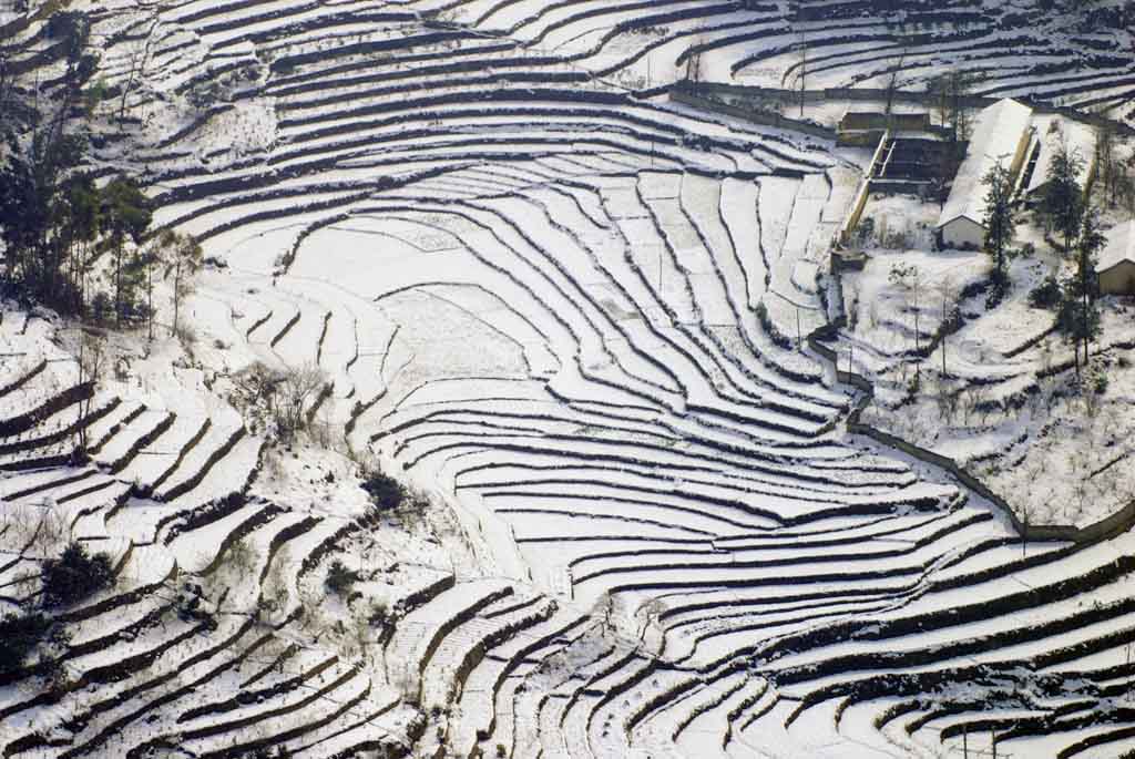 家园雪灾 摄影 曲木子撒