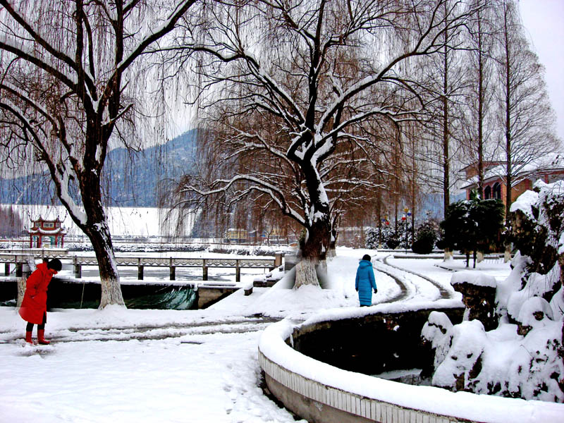 雪中行  石花  潭口 摄影 千里马