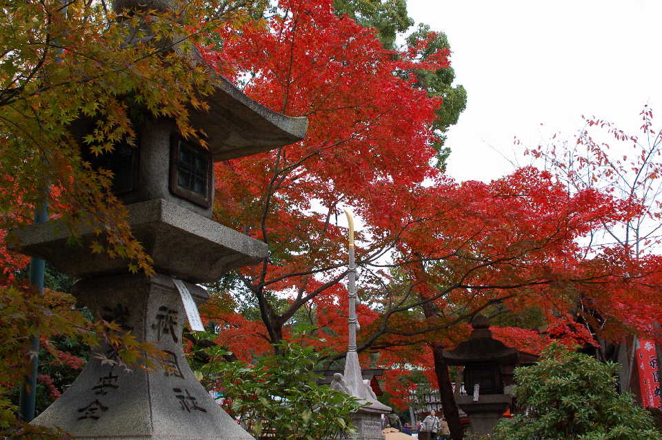 京都07 摄影 静之