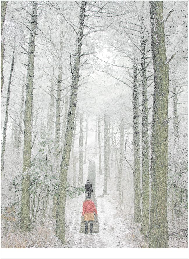 雪韵 摄影 北边