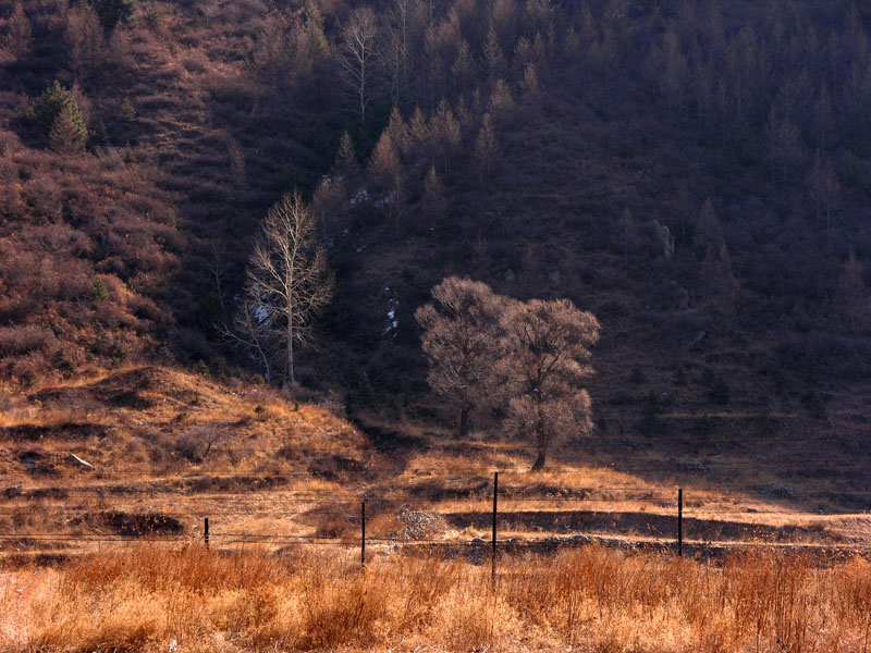 小景 摄影 石山人