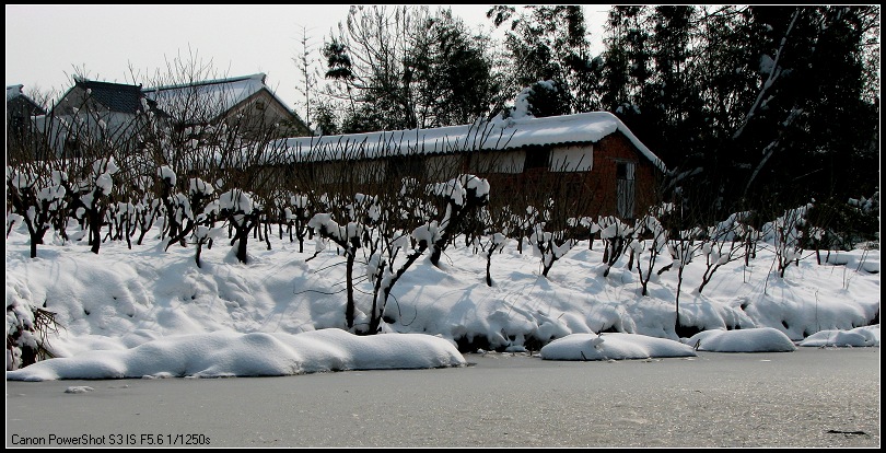 雪景 摄影 无小钱