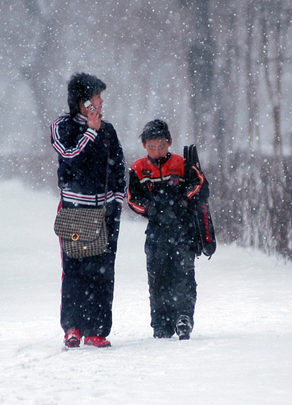 雪花飘飘 摄影 甜草