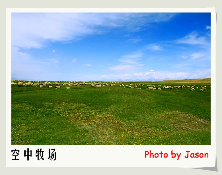 空中牧场 摄影 wangjuns