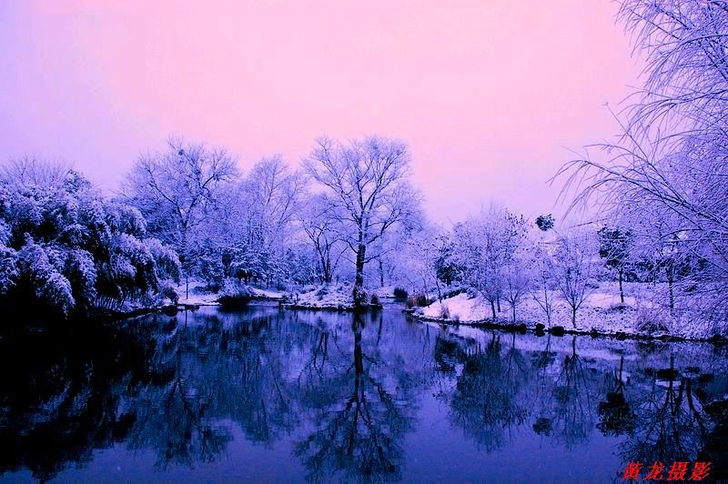 雪景18 摄影 黄龙