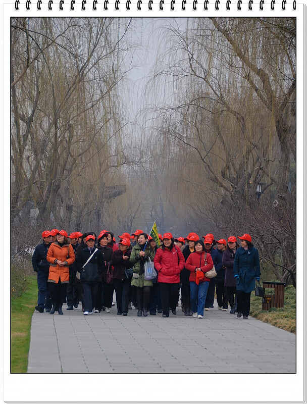 史上最整齐的旅游团 摄影 Carlylee