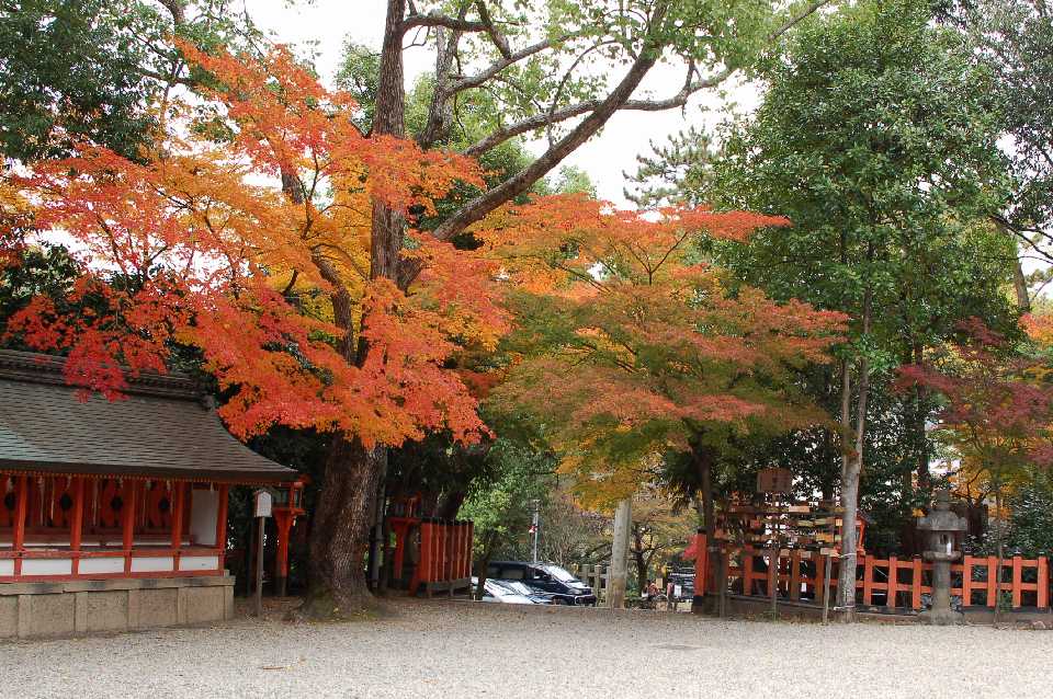 京都09 摄影 静之