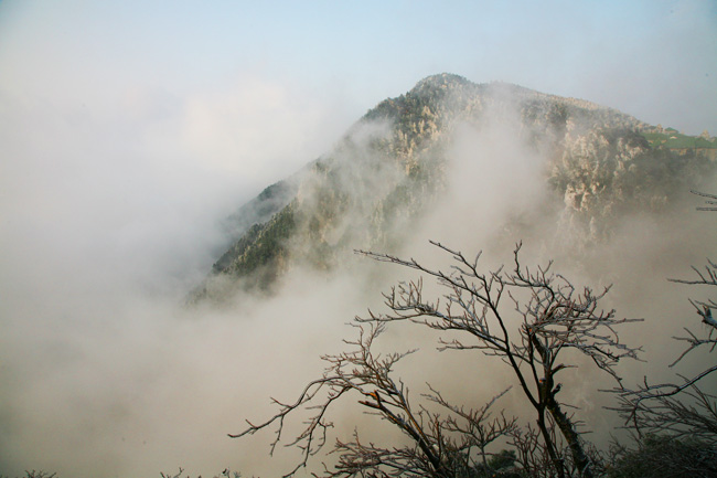 庐山 摄影 甲由田