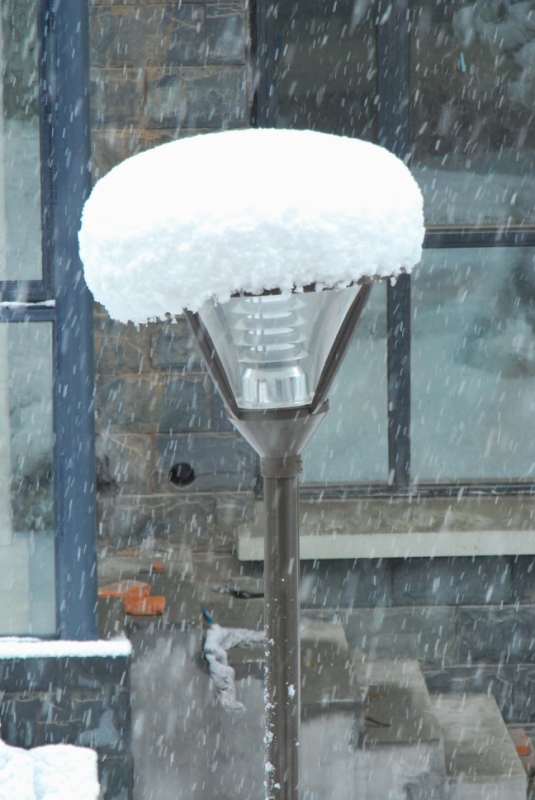 路灯上的积雪 摄影 zhenshan